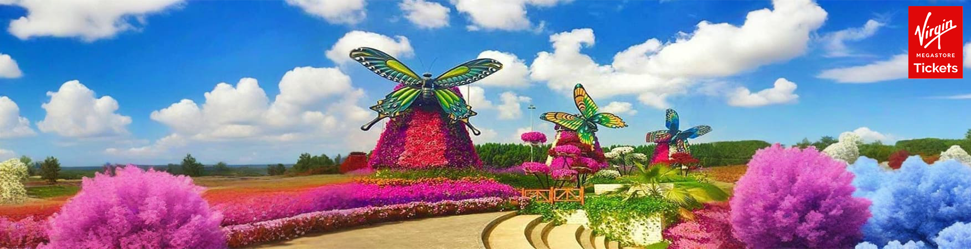 Dubai Butterfly Garden