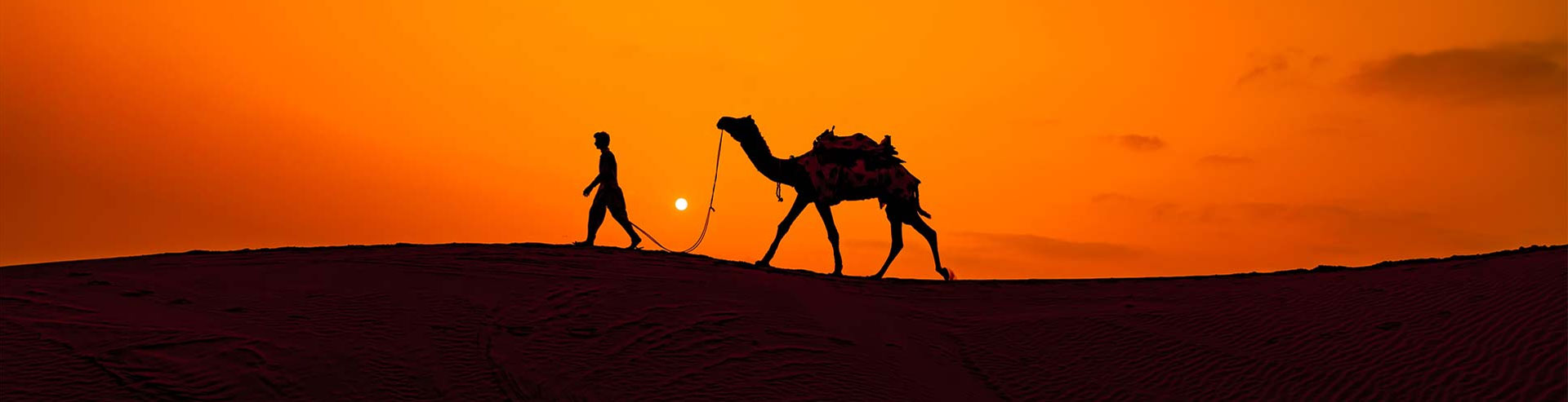Desert Safari