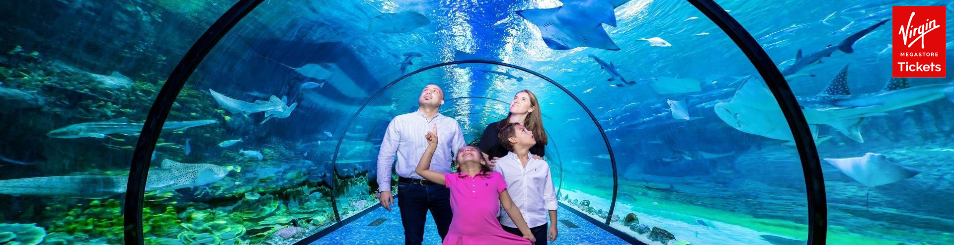 The National Aquarium