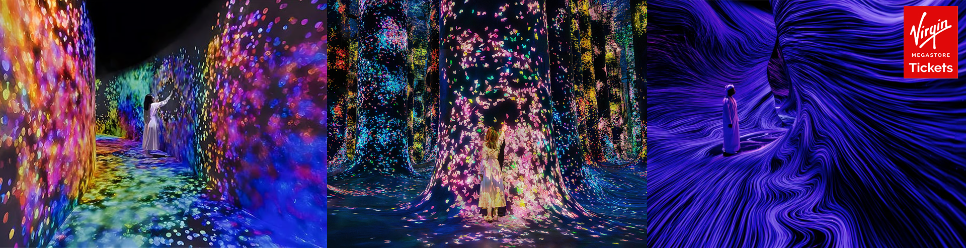 TeamLab Phenomena