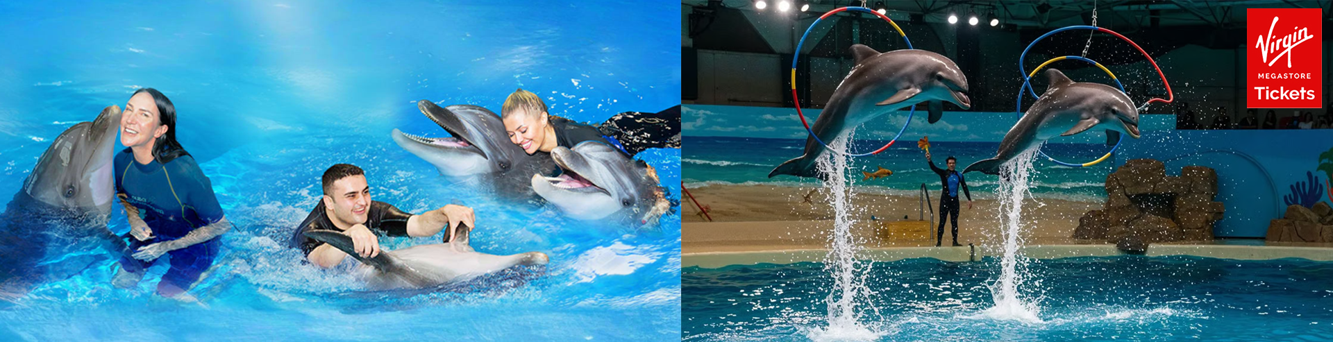 Dubai Dolphinarium