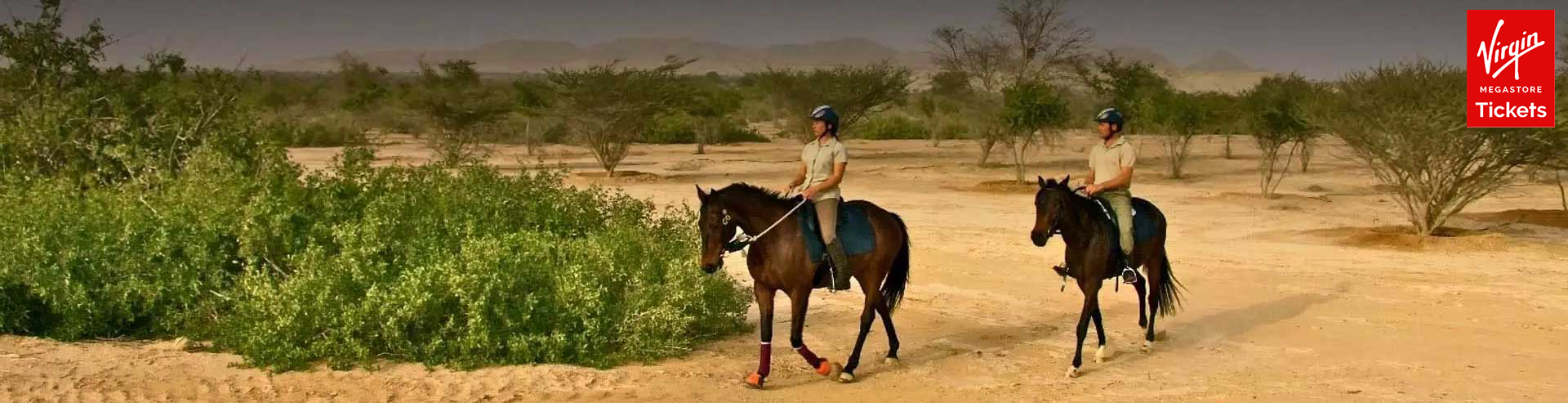 Horse Riding At Abu Dhabi